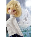 画像: DD/月姫:アルクェイド・ブリュンスタッド S-26-09-06-304-TO-ZS