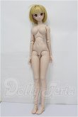 画像6: DD/月姫:アルクェイド・ブリュンスタッド S-26-09-06-304-TO-ZS (6)
