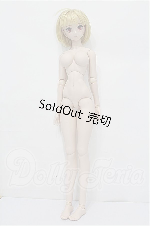 画像6: DD/月姫:アルクェイド・ブリュンスタッド S-26-09-06-304-TO-ZS (6)