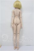 画像7: DD/月姫:アルクェイド・ブリュンスタッド S-26-09-06-304-TO-ZS (7)