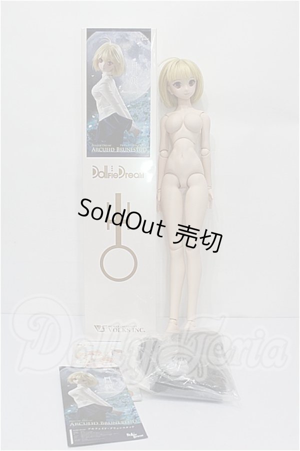 画像8: DD/月姫:アルクェイド・ブリュンスタッド S-26-09-06-304-TO-ZS (8)