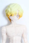 画像1: シチリアの追憶/ゴールデンレトリバー S-26-09-06-334-YB-ZS (1)