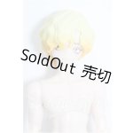画像: シチリアの追憶/ゴールデンレトリバー S-26-09-06-334-YB-ZS