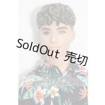 画像: バービー/ファッショニスタ Ken S-26-09-13-221-TO-ZS