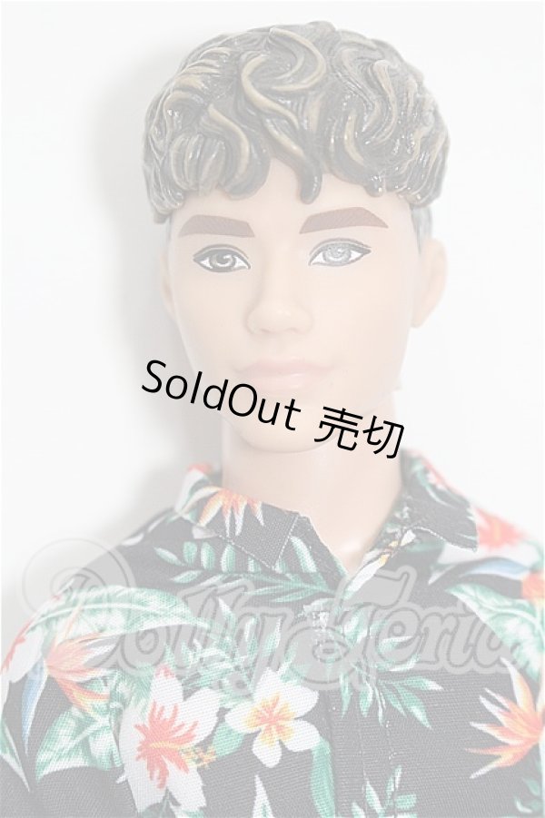 画像1: バービー/ファッショニスタ Ken S-26-09-13-221-TO-ZS (1)