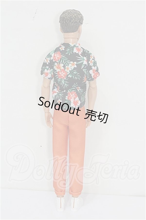 画像3: バービー/ファッショニスタ Ken S-26-09-13-221-TO-ZS (3)