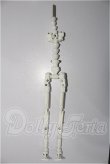 画像1: MDD/あさちゃんちフルセット MDD S-26-09-20-253-YB-ZS (1)