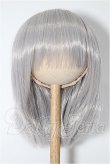 画像1: 8-9inch/ウィッグ S-26-09-20-298-YB-ZS (1)