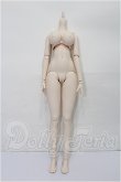 画像1: DDdy/ベースボディ S-26-09-27-103-TO-ZS (1)