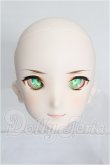 画像1: DD/ドリームチョイス DC-H-25 S-26-09-27-238-TO-ZS (1)
