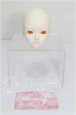 画像5: LUNABLANC/Kylie Head S-26-09-27-239-TO-ZS (5)