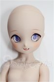 画像1: MDDもちあし/ドリームチョイス:DC-H-30 S-26-10-04-102-TO-ZS (1)