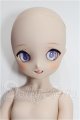 画像: MDDもちあし/ドリームチョイス:DC-H-30 S-26-10-04-102-TO-ZS