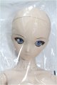 画像: DD/ALISA ゴッドイーター2 S-26-10-04-101-TO-ZS