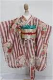画像1: SDM＆MDD/錦の華(桃) S-26-10-11-113-TO-ZS (1)