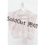 画像: SDM＆MDD/錦の華(桃) S-26-10-11-113-TO-ZS