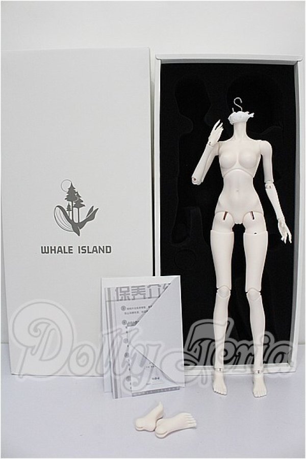 画像3: Coral Reef Doll/1/4女の子ボディ  S-26-10-11-257-TO-ZS (3)