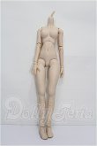 画像1: DD/ベースボディIII S-26-10-11-256-TO-ZS (1)