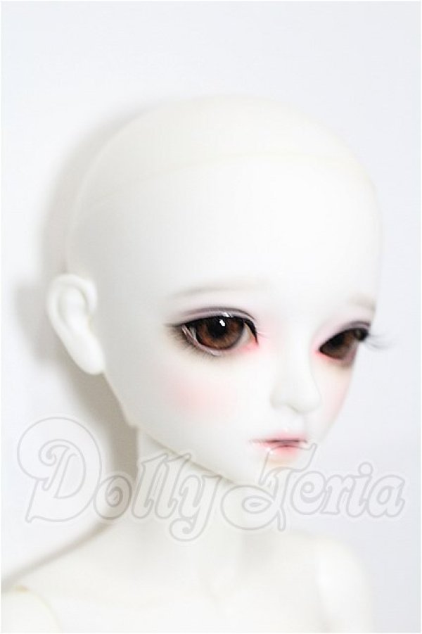 画像3: LITTLE MONICA/Little Sophia S-26-10-18-108-TO-ZS (3)