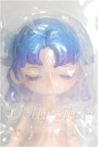 画像1: SIMONTOYS LIRORO(リロロ)/童話の家シリーズ シンデレラ(シークレット) S-26-10-11-307-TO-ZS (1)