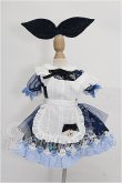 画像1: MDD/OF:衣装セット S-26-10-25-176-TO-ZS (1)