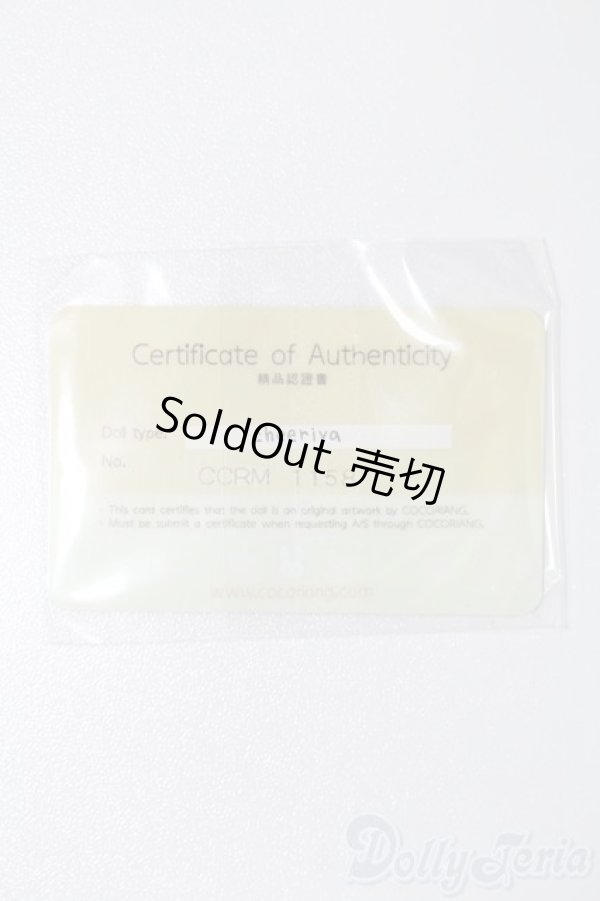 画像8: cocoriang/cheeriya S-24-11-24-162-GN-ZS (8)