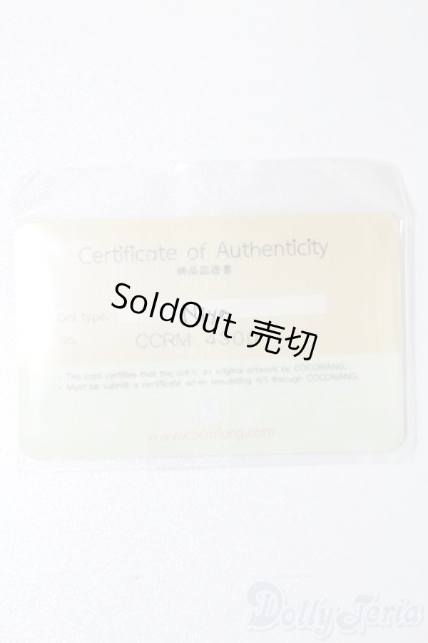 画像6: cocoriang/Niya S-25-01-19-358-GN-ZS (6)