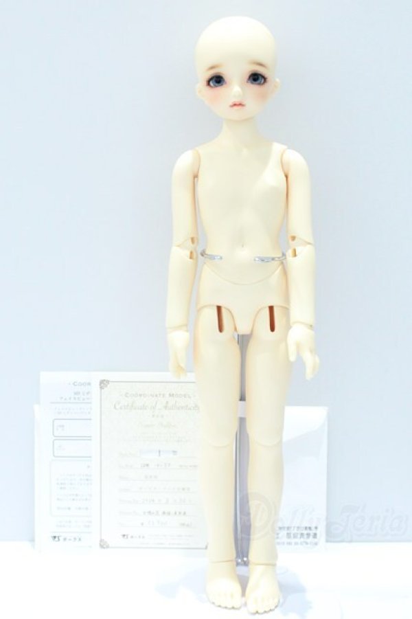 画像8: SDM女の子/コーディネートモデルF-50 S-25-09-14-001-YB-ZS (8)