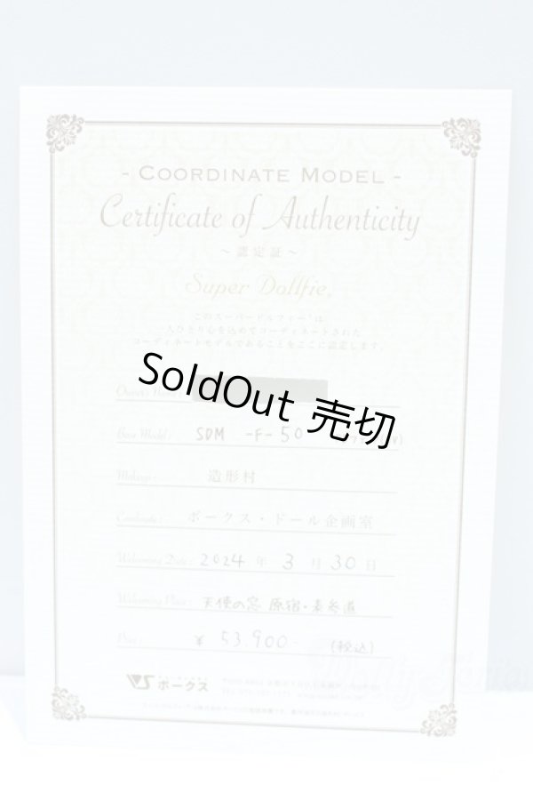 画像9: SDM女の子/コーディネートモデルF-50 S-25-11-23-635-YB-ZS (9)