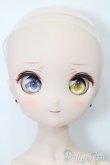 画像1: MDD/ドリームチョイス:DC-H-17 S-25-04-20-587-GN-ZS (1)