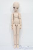 画像4: MDD/ドリームチョイス:DC-H-17 S-25-04-20-587-GN-ZS (4)