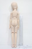 画像5: MDD/ドリームチョイス:DC-H-17 S-25-04-20-587-GN-ZS (5)