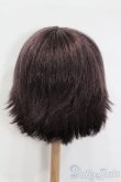 画像2: 8-9inch/ウィッグ S-25-04-20-337-GN-ZS (2)