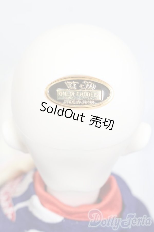 画像6: SD13/ワンオフモデル:F-109 S-24-12-01-002-GN-ZS (6)