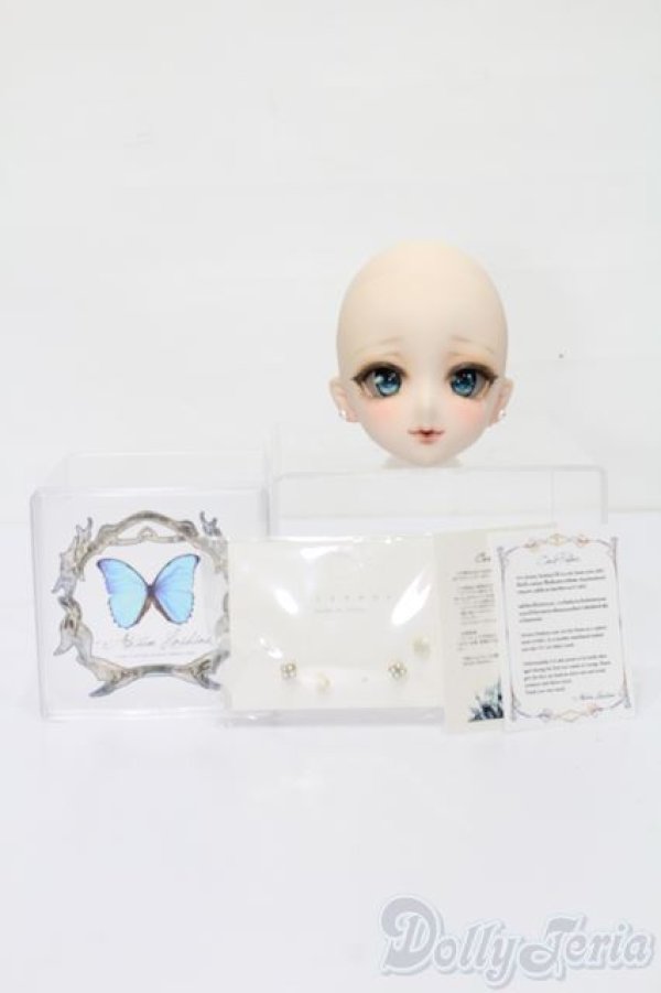 画像5: DD/DDH-09:カスタムヘッド S-25-06-15-679-GN-ZS (5)