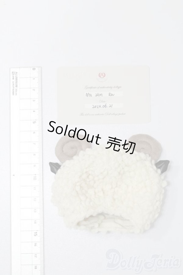 画像8: ADVillage/Nya S-25-06-01-728-GN-ZS (8)