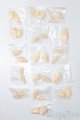 画像: azone/ハンドパーツ S-24-12-01-479-GN-ZS
