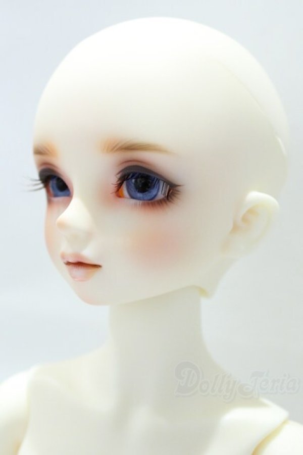 画像3: SDM/コーディネートモデル：F46 S-25-11-02-001-YB-ZS (3)