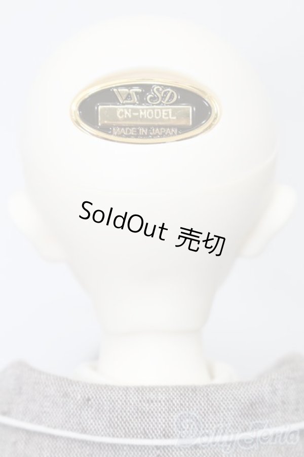 画像5: SDMB/コーディネートモデル:F35 S-25-02-23-002-YB-ZS (5)