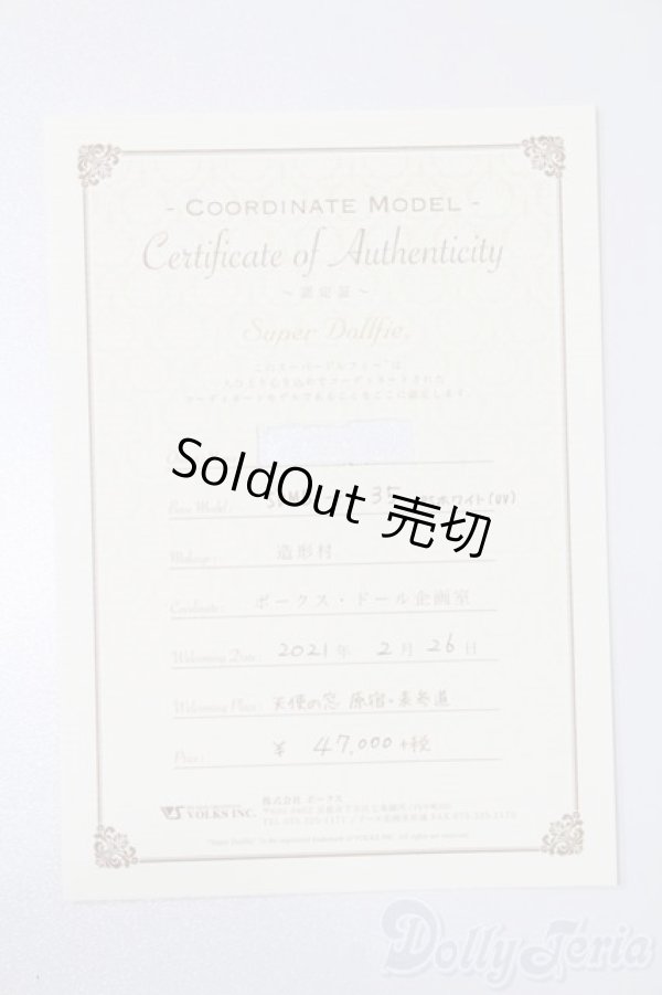 画像9: SDMB/コーディネートモデル:F35 S-25-02-23-002-YB-ZS (9)