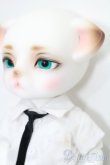 画像3: LUTS/Zuzu Delf Lio Romance S-25-08-17-303-YB-ZS (3)
