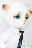 画像4: LUTS/Zuzu Delf Lio Romance S-25-08-17-303-YB-ZS (4)