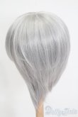 画像2: 7-8inch/ウィッグ S-25-04-20-373-GN-ZS (2)