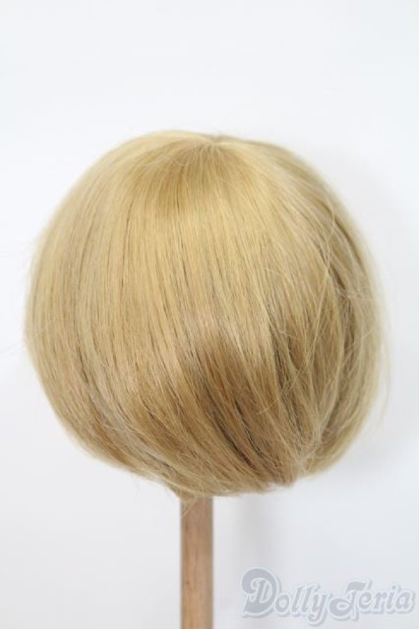 画像2: 9-10inch/ウィッグ S-25-03-23-393-GN-ZS (2)