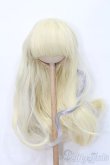 画像1: 8-9inch/ウィッグ S-25-02-23-470-GN-ZS (1)
