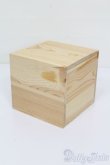 画像2: SD/ドールヘッド収納ケース S-25-05-11-104-GN-ZS (2)