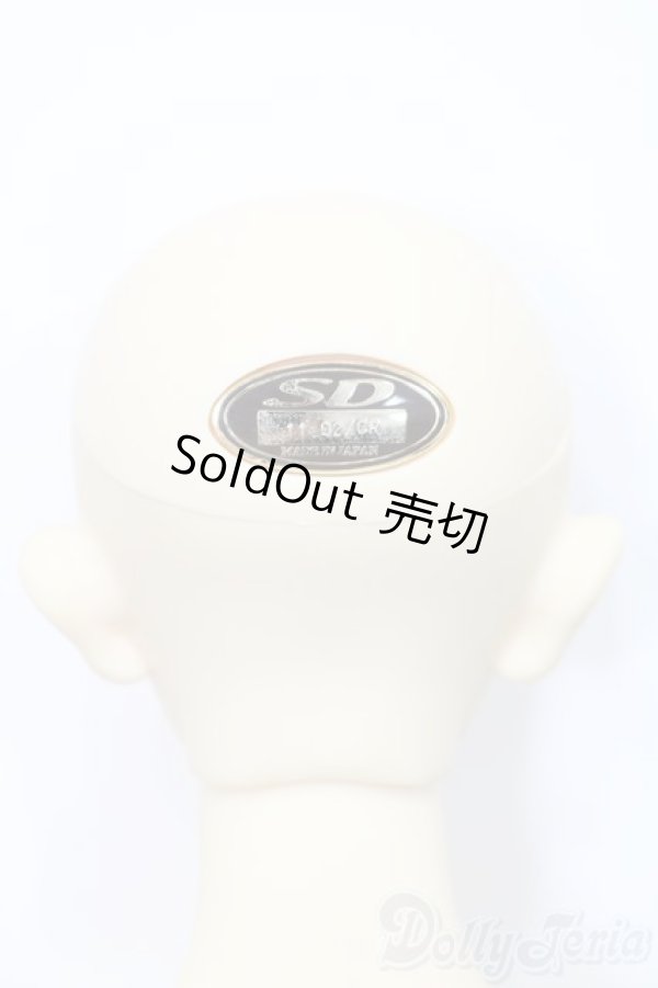 画像5: SD17BOY/レイズナー:The Desire for Revenge 東京湾クルーズ2011限定発売 S-24-12-15-012-YB-ZS (5)