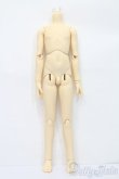 画像1: SD13BOY/ボディ S-25-04-13-441-GN-ZS (1)