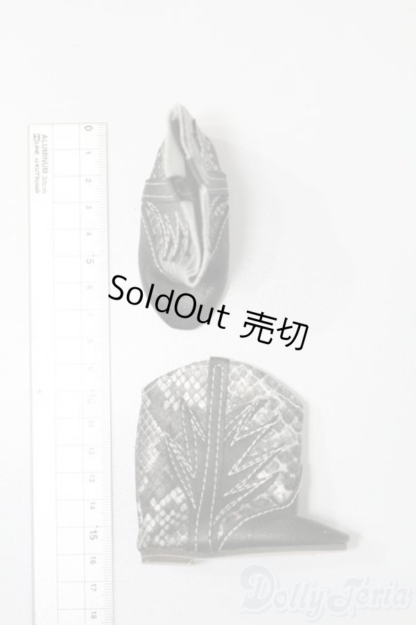 画像3: SD/OF:靴 S-25-10-12-446-GN-ZS (3)