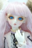 画像1: 【新宿マルイアネックス店 店頭販売商品】LUTS/KDF-19　2100150000001509-ZM (1)